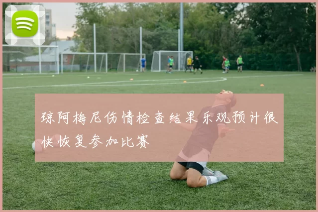 琼阿梅尼伤情检查结果乐观预计很快恢复参加比赛