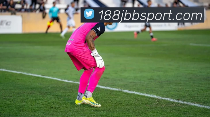 188金宝博体育平台生态图